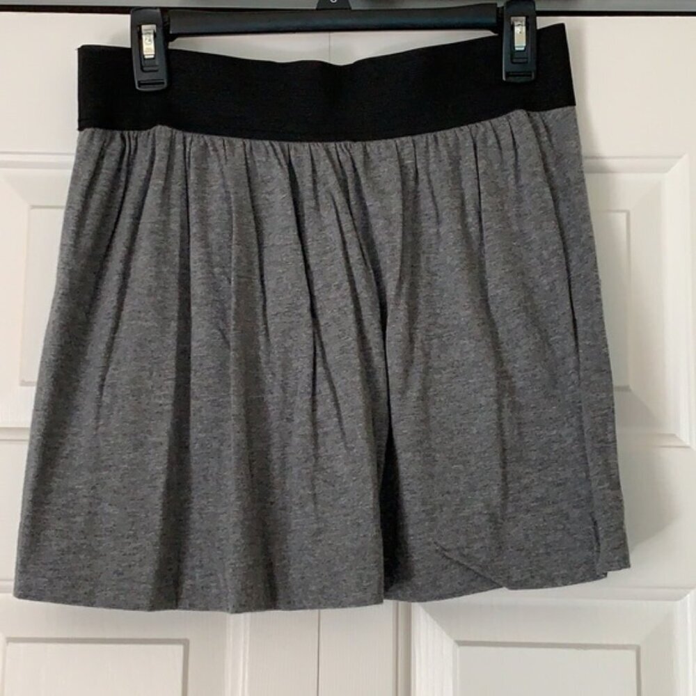 Express Short Skirt